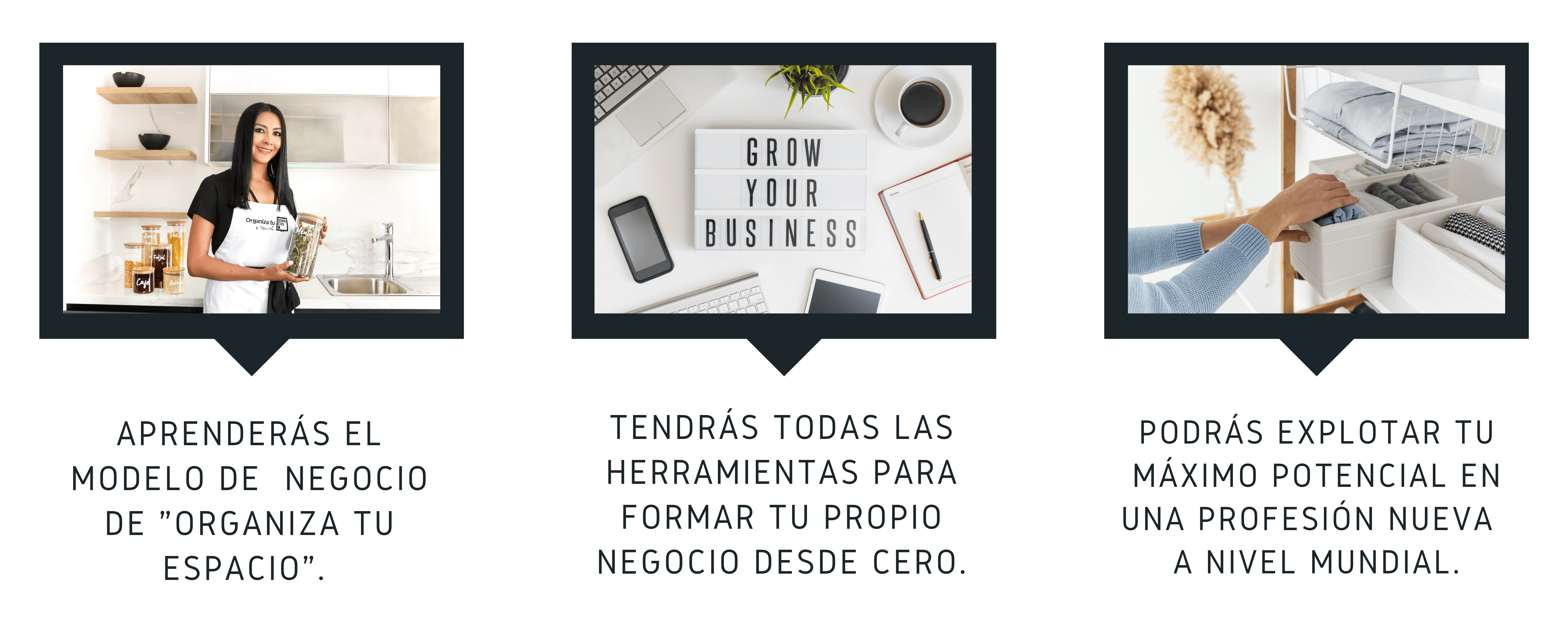 organiza1